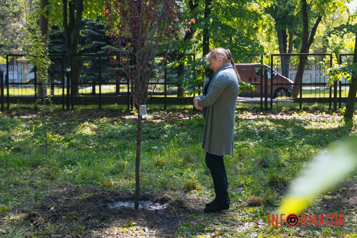 Нагадування, що війна торкнулася кожного: у Дніпрі EVA створила Алею пам’яті на честь загиблих співробітників 12