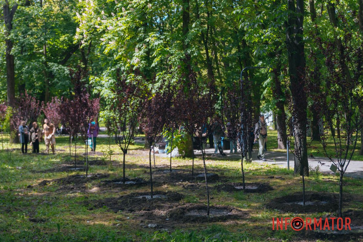 Нагадування, що війна торкнулася кожного: у Дніпрі EVA створила Алею пам’яті на честь загиблих співробітників 13