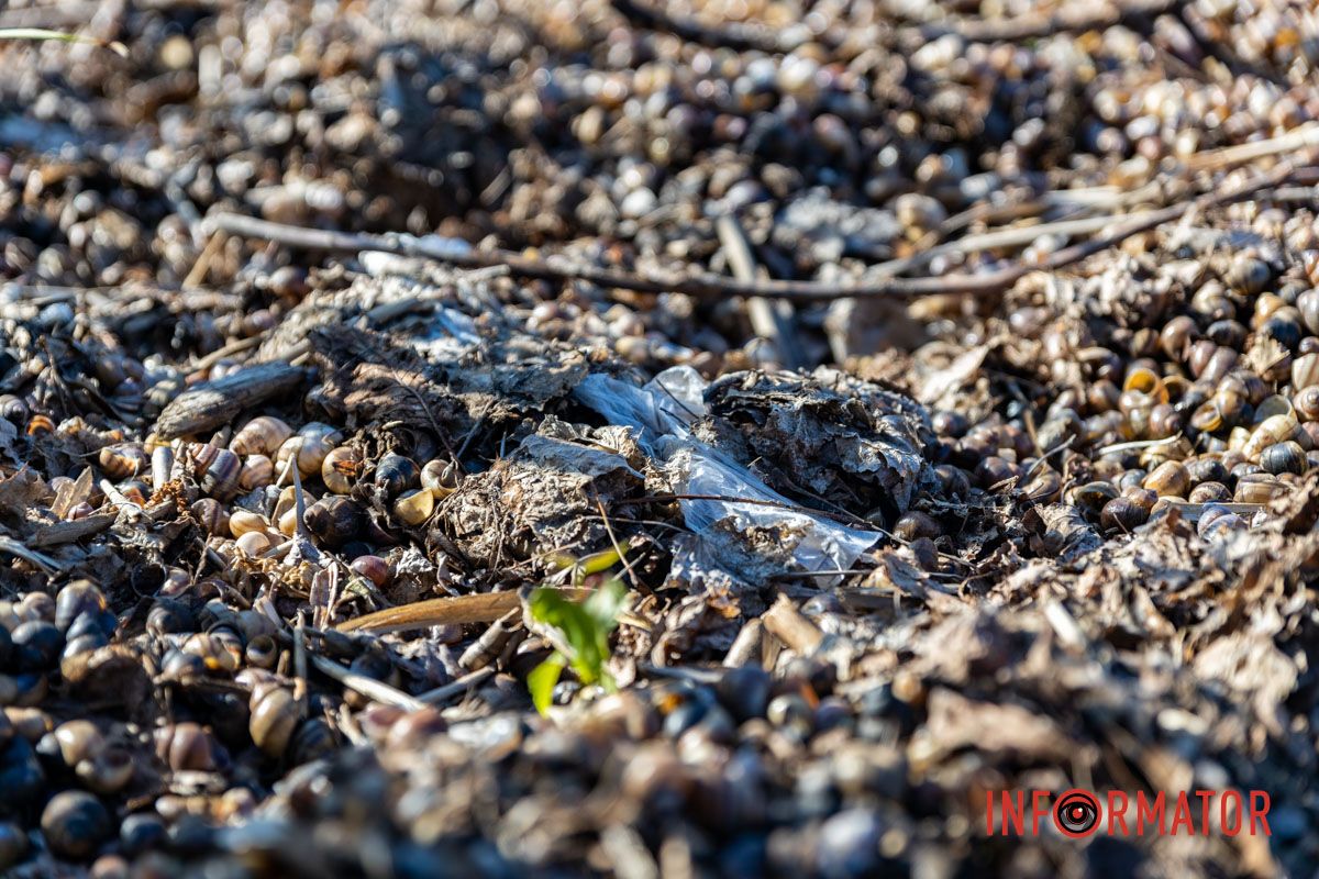 У центрі Дніпра — смітник біля води: що сталося з Фестивальним причалом 9