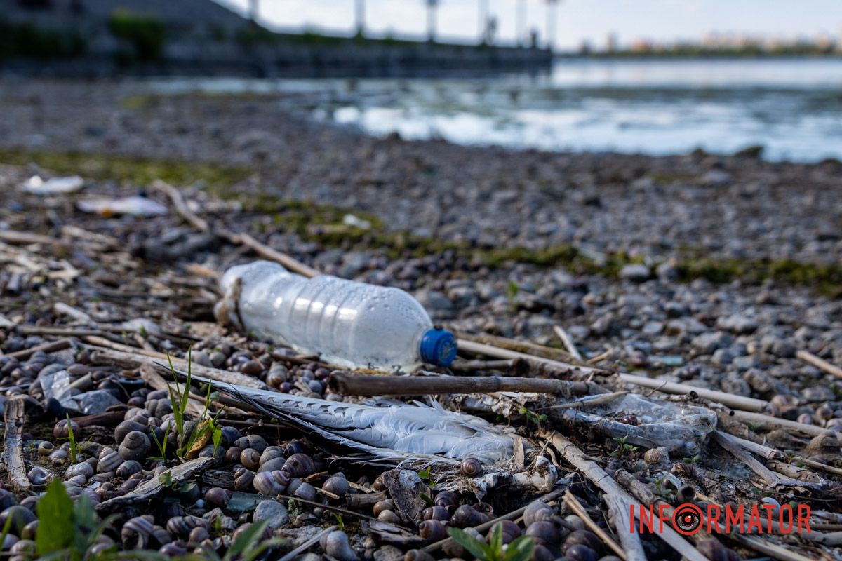 У центрі Дніпра — смітник біля води: що сталося з Фестивальним причалом 13