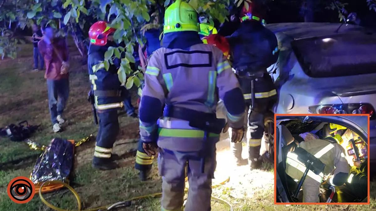 В Кривом Роге Mazda врезалась в дерево: женщину и ребенка зажало в салоне