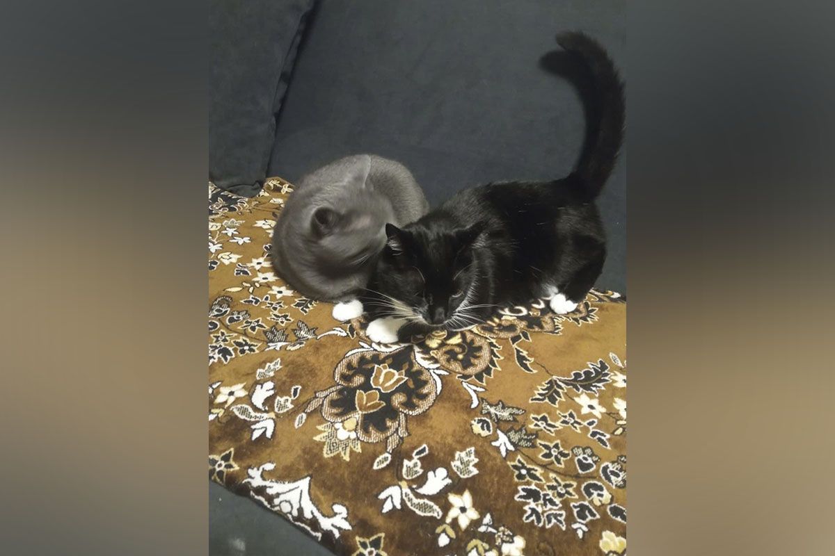 Лелик и Соня Лелик и Соня