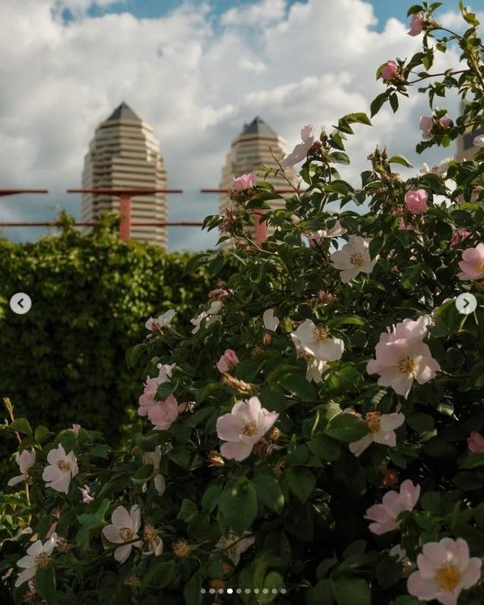 ph_deniska ph_deniska