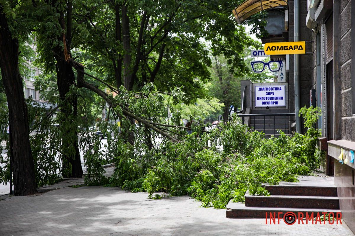В понедельник, 26 мая, в Днепре на проспекте Науки из-за сильного ветра надломилась огромная ветвь