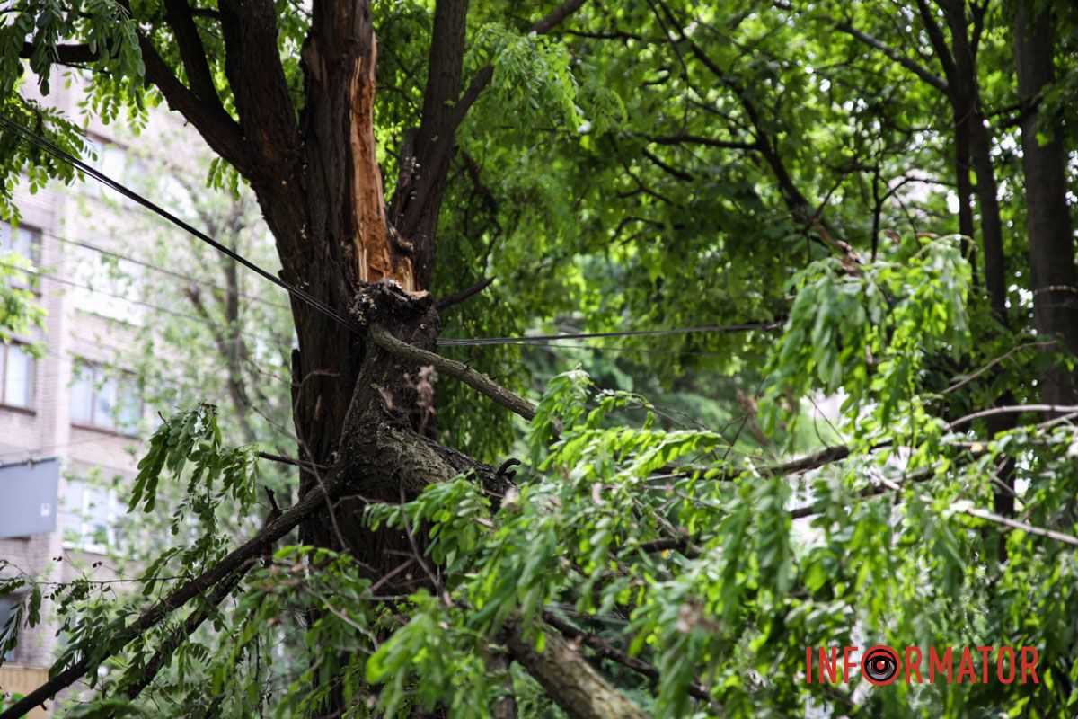 Она повисла на проводах