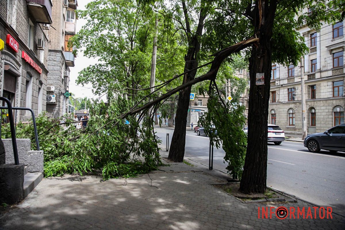 Это мешает пешеходам