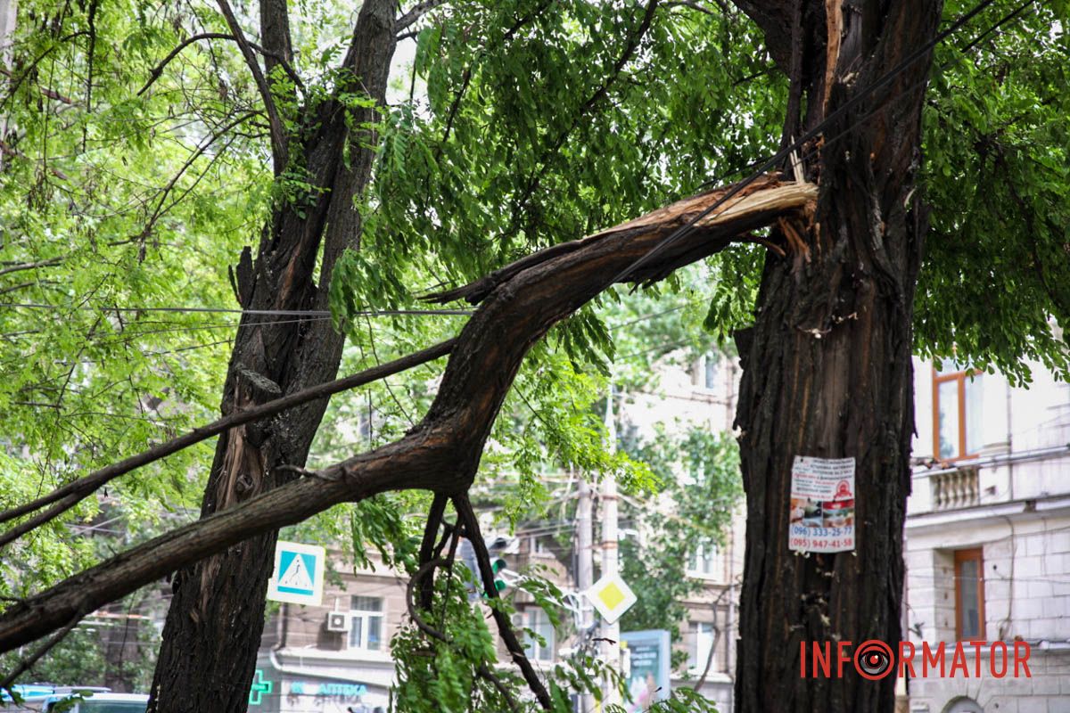 По состоянию на 13:00 коммунальные службы не убрали ветку с тротуара