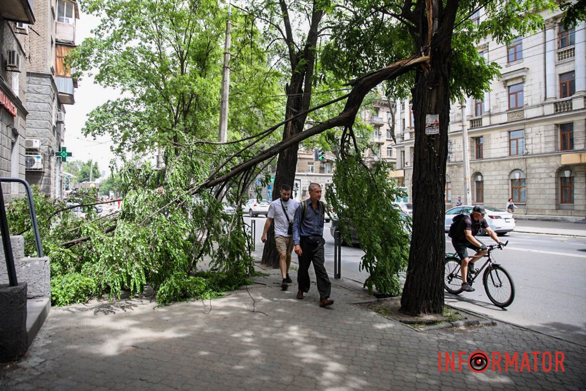 Сильный ветер создает опасность