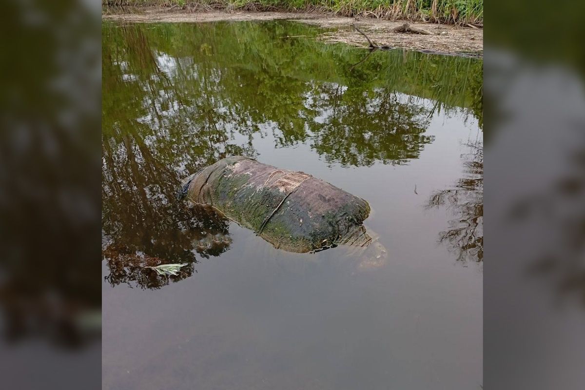 Тіло знаходилось у воді