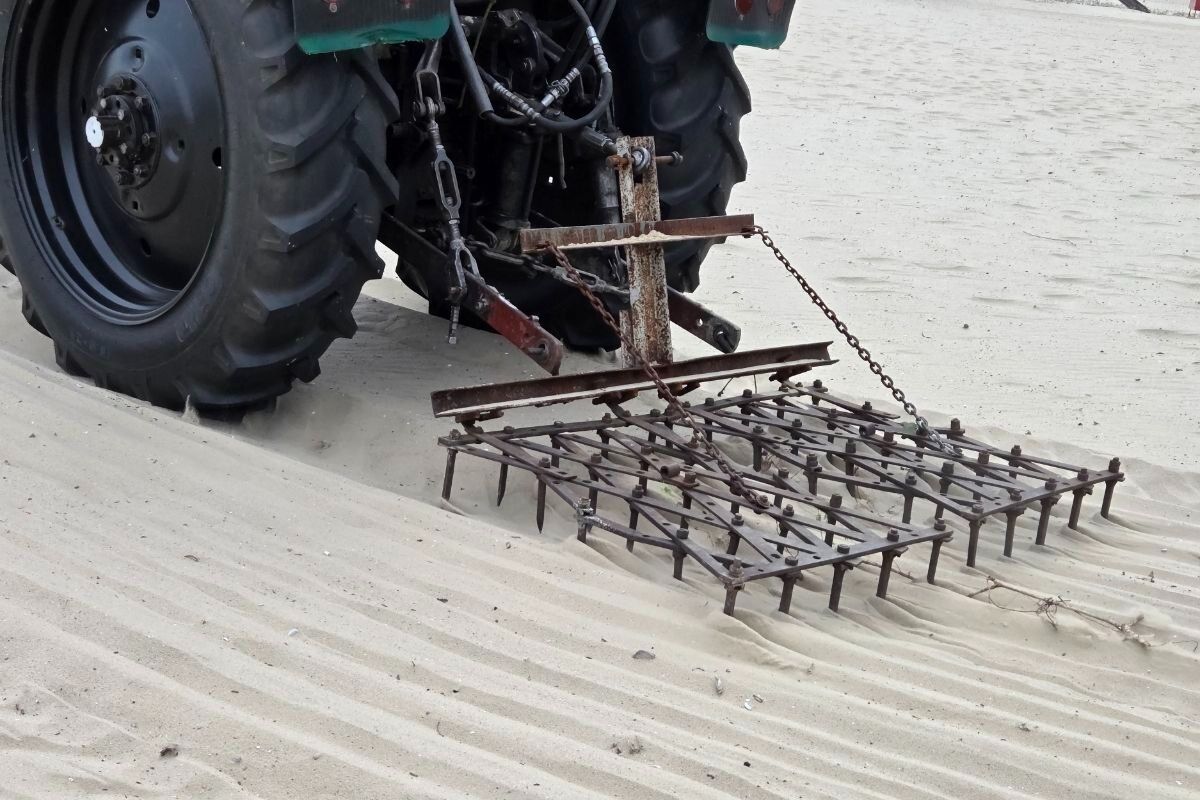 На пляжній зоні чистять пісок, фарбують елементи благоустро, підчищають крони дерев та прибирають зайву поросль На пляжній зоні чистять пісок, фарбують елементи благоустро, підчищають крони дерев та прибирають зайву поросль