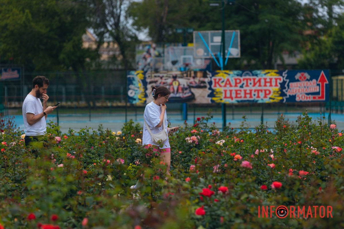 Розовые, белые, красные, пурпурные: в Днепре в парке Глобы расцвел крупнейший городской розарий.