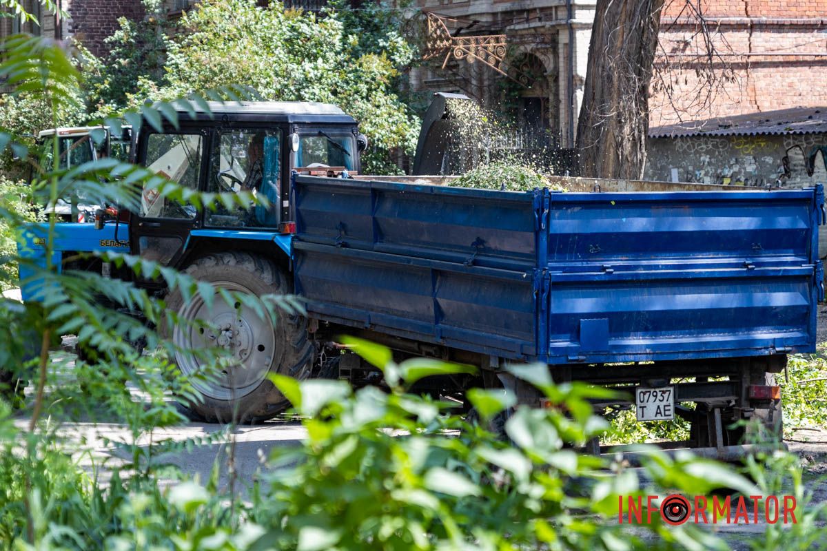 Спиливают ветки и деревья
