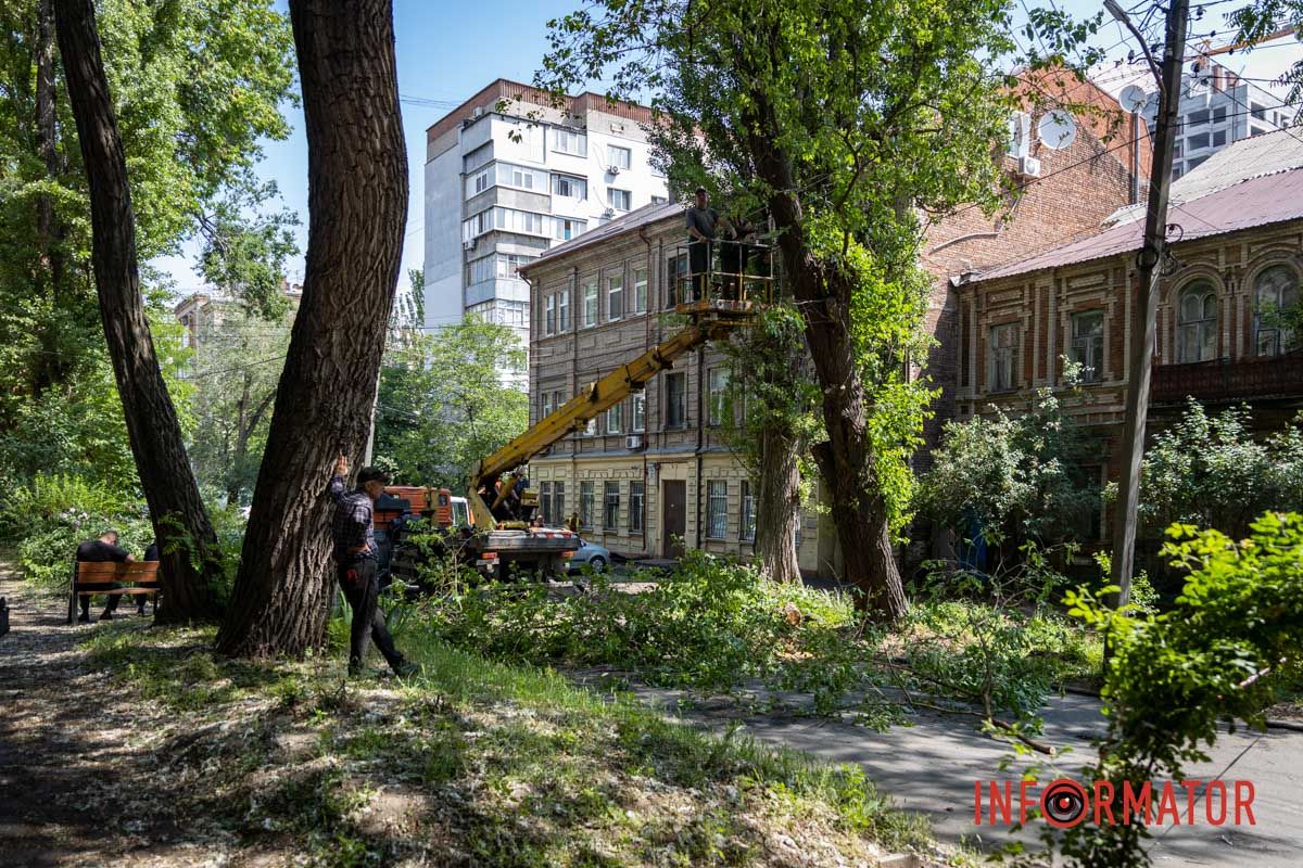 Фото: Дворский Дмитрий