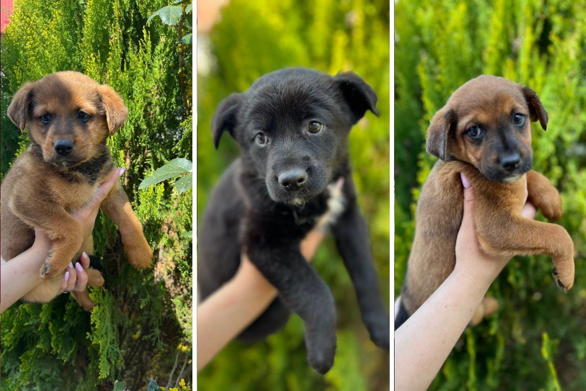 Только посмотрите в эти глазки Только посмотрите в эти глазки