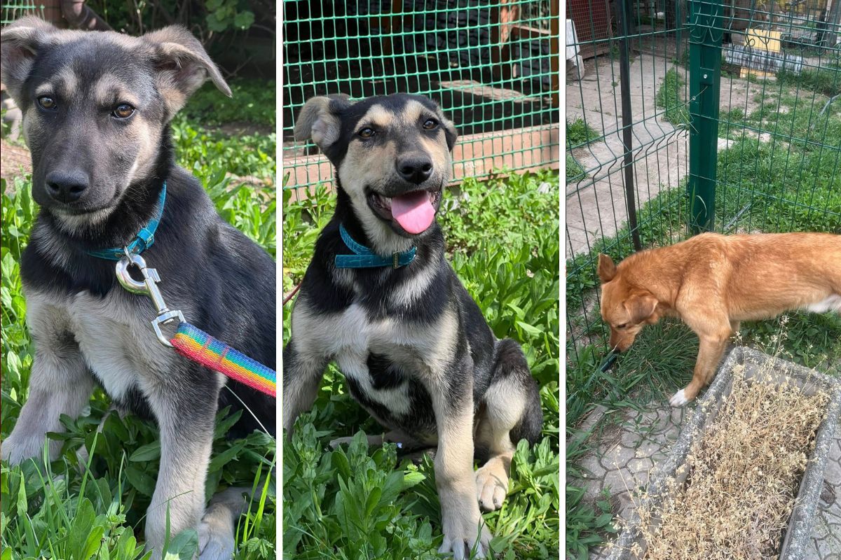 Возможно, один из них ждет именно вас Возможно, один из них ждет именно вас