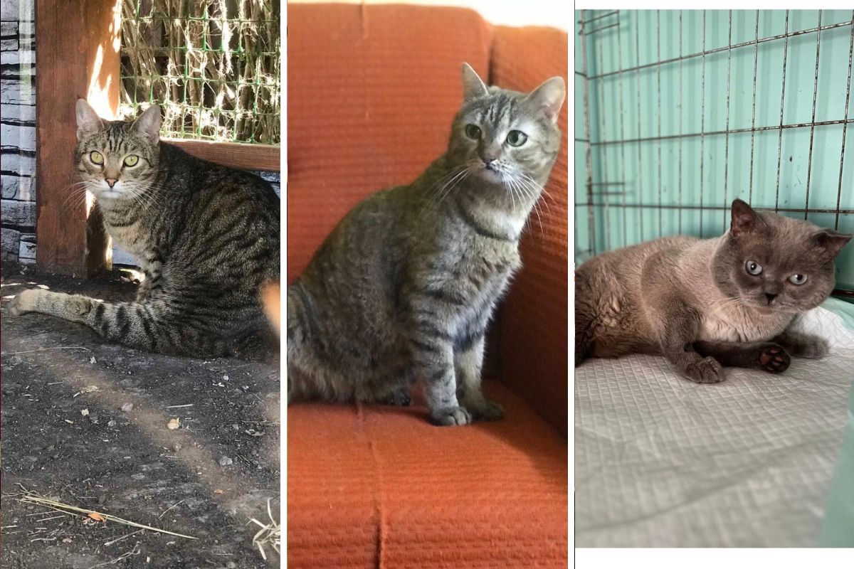 Каждая гривна — это чья-то жизнь Каждая гривна — это чья-то жизнь