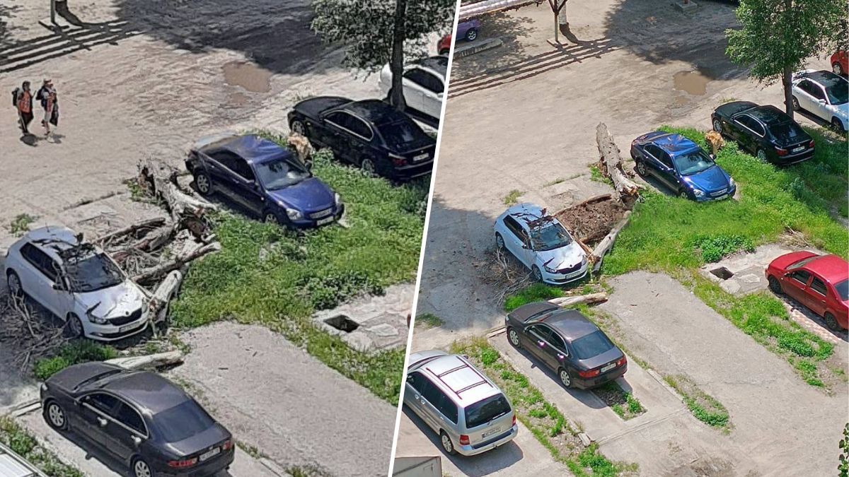 В Днепре на ж/м Покровское дерево упало на припаркованные автомобили