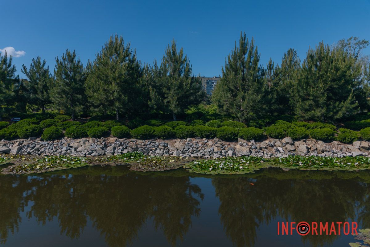 Нежность имеет форму лепестка