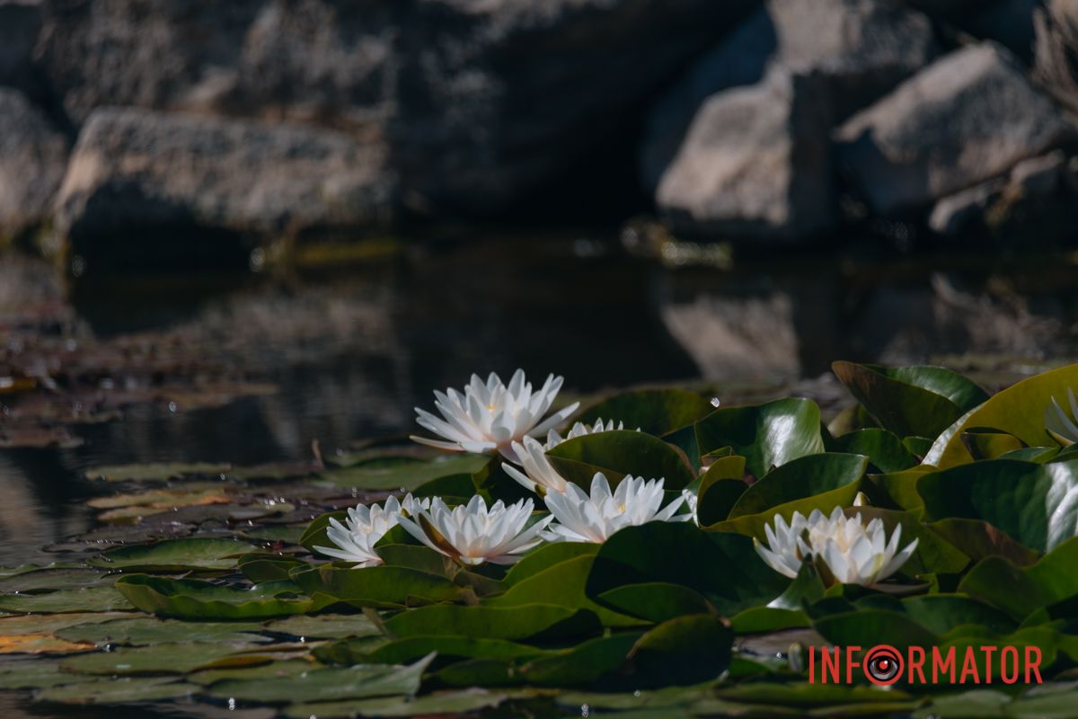 Красота в деталях