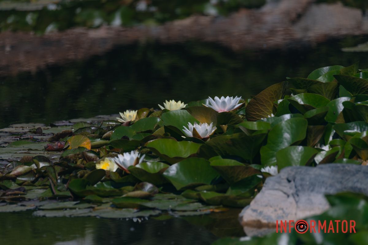 Немного красоты, чтобы день стал лучше