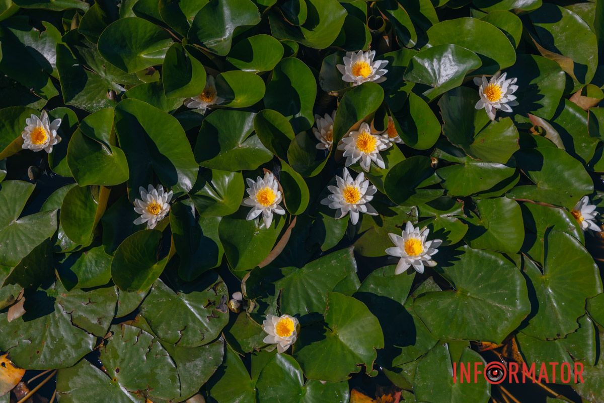 Символ нового начала