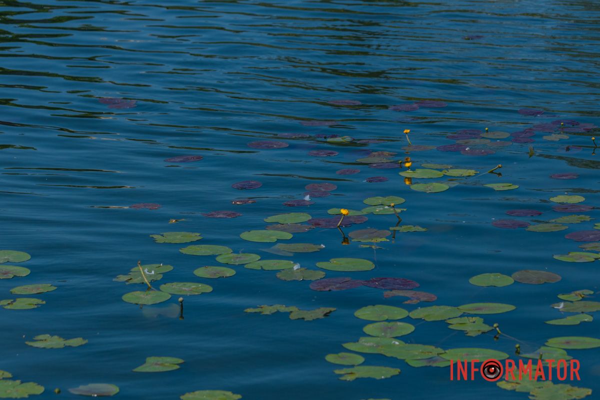 Захватывающая простота