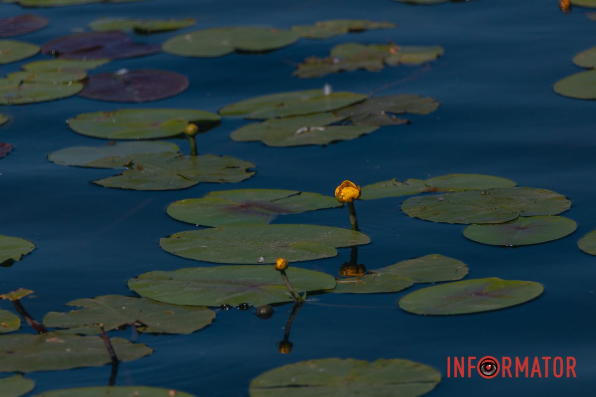 Один взгляд – и вся суета исчезает