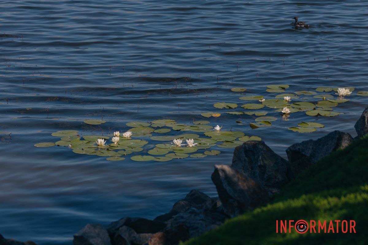 Настоящая красота – без фильтров