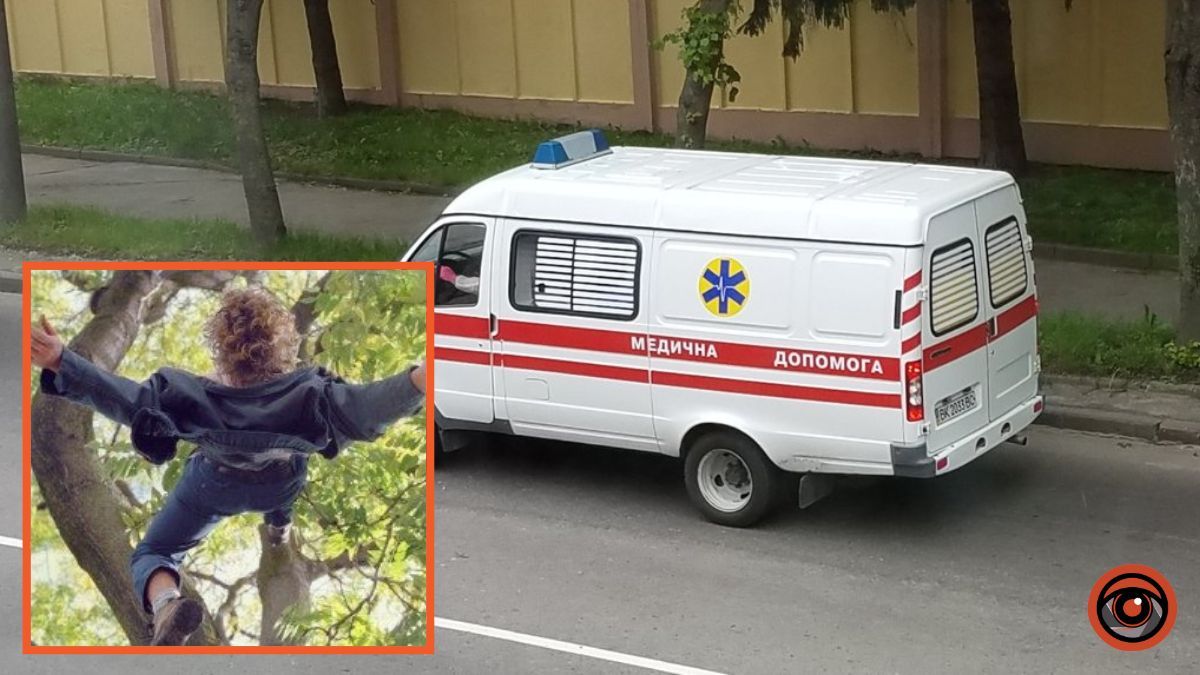 Гілка не витримала: у Дніпрі 10-річний хлопець впав з висоти три метри та втратив свідомість