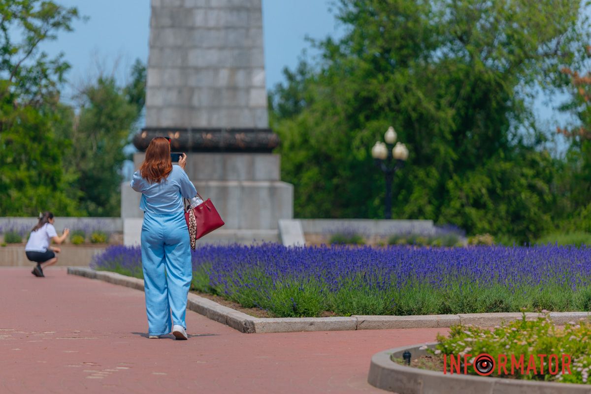 Там, где нежность имеет цвет