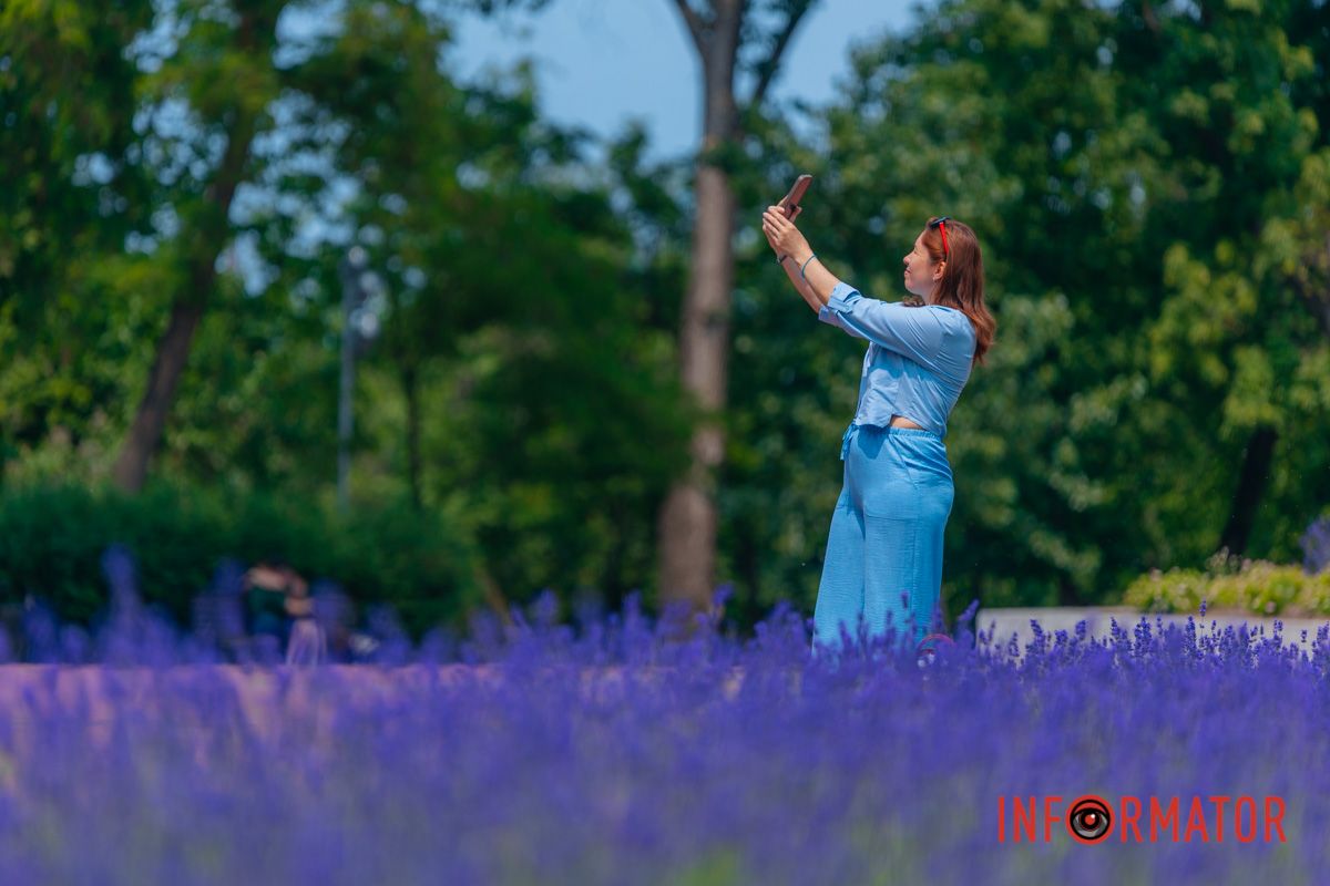 Сказка среди лета