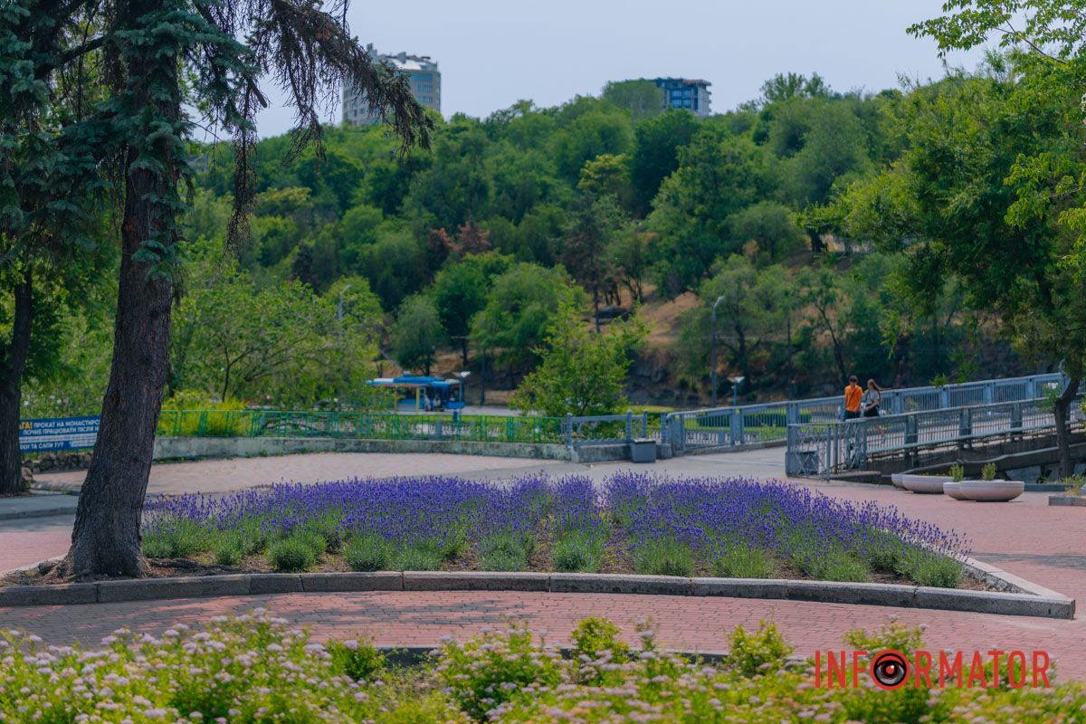 Когда мир пахнет лавандой, все остальное не имеет значения