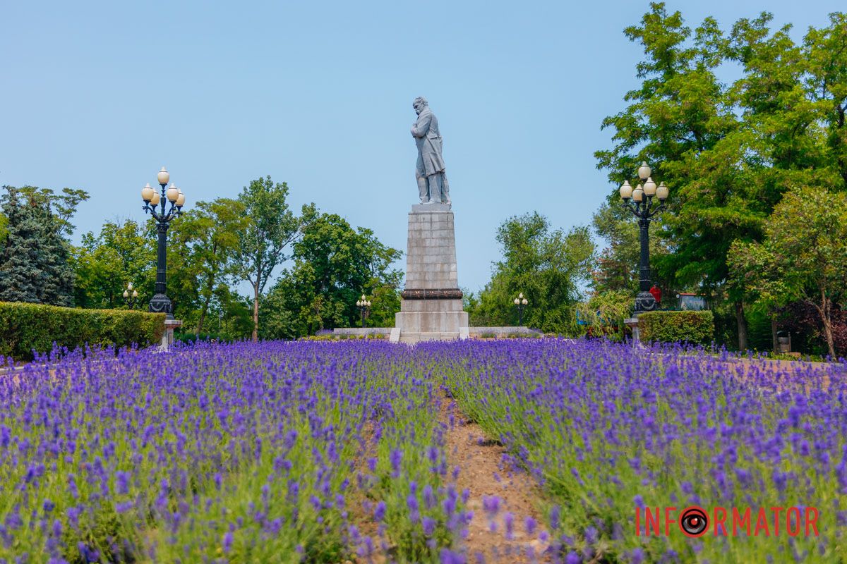 Лаванда учит не торопиться