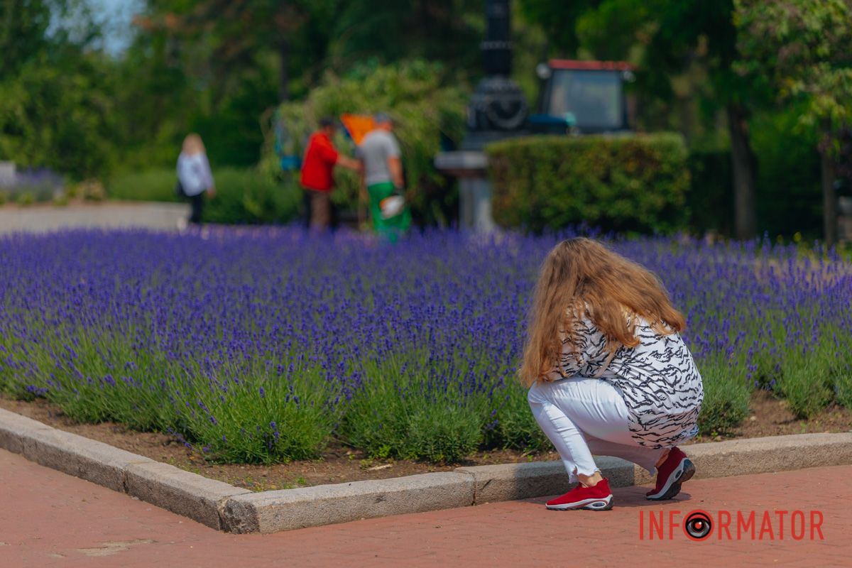 Когда путешествие – это не километры, а запахи
