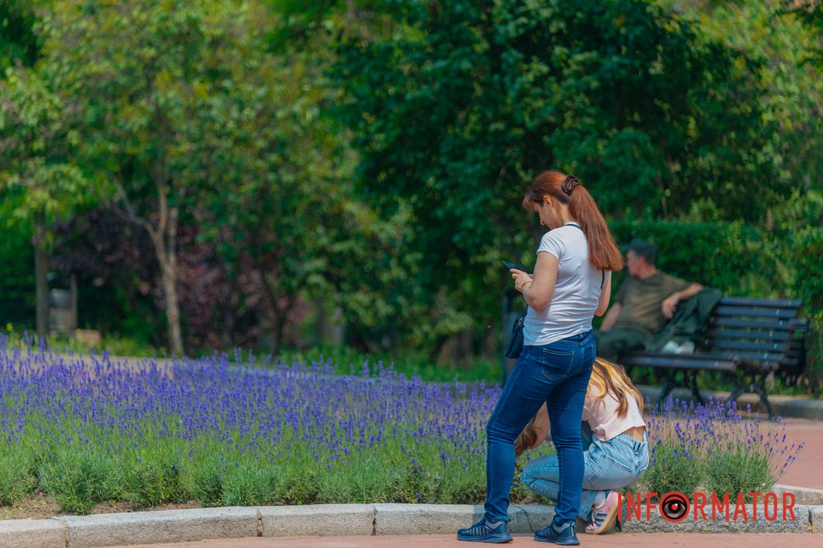 Лавандовый маршрут: начинай со вдохновения