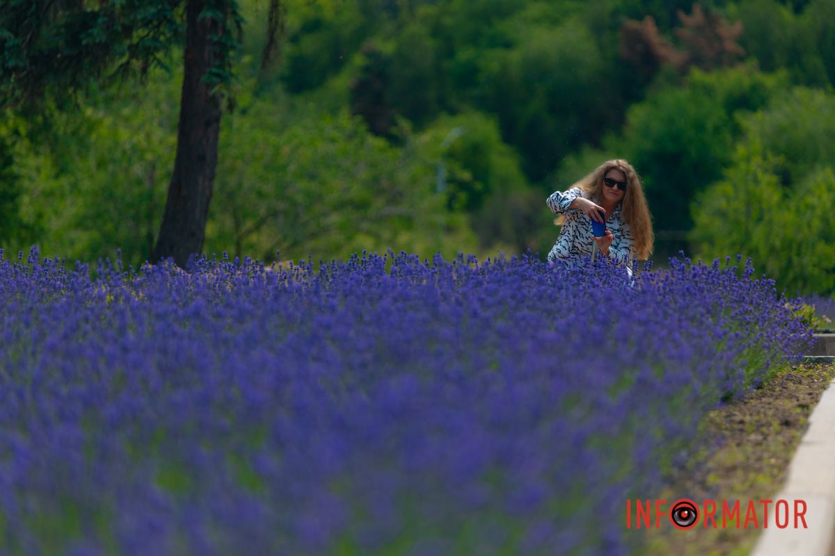 Маленький Прованс в сердце Днепра