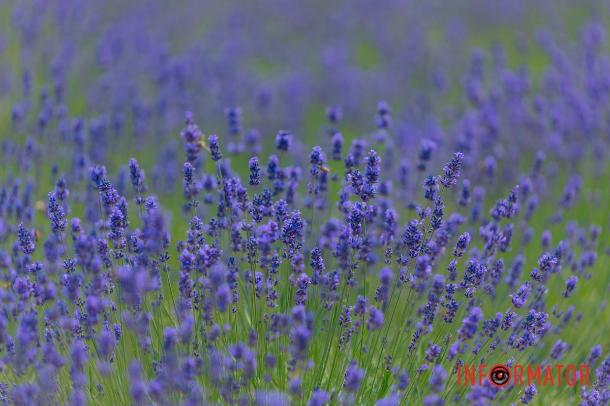 Нажмите на паузу. Сделайте вдох.