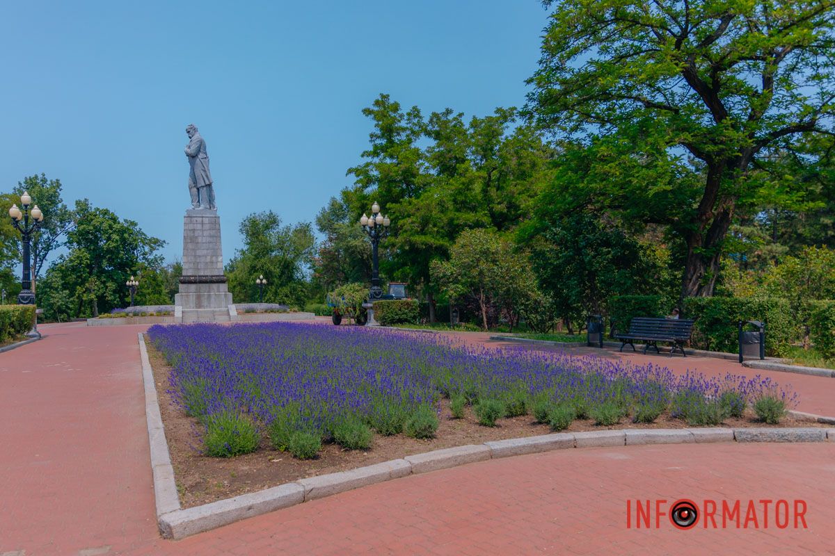 Лаванда + солнце = идеальный день