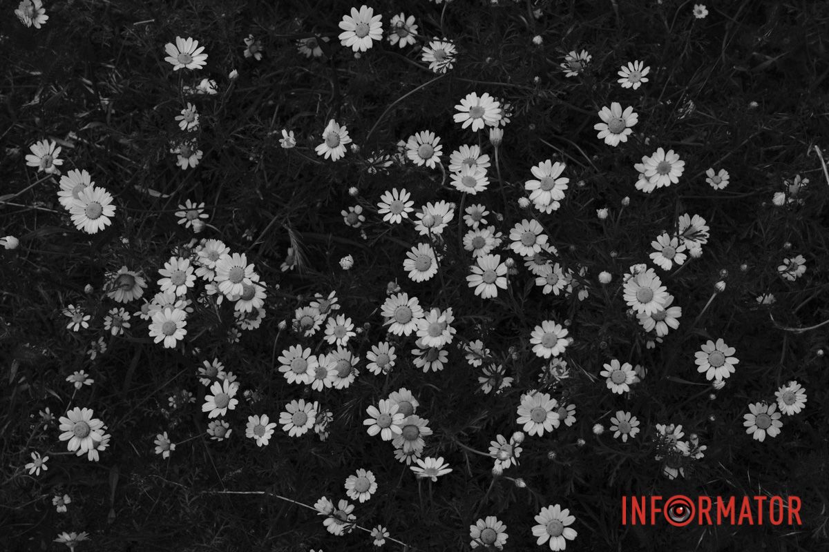 Никогда не спит город: нуарный Днепр в черно-белых тонах 17