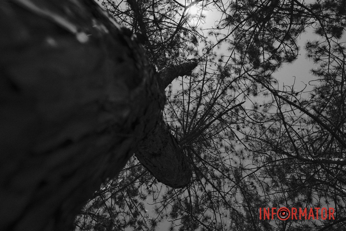 Никогда не спит город: нуарный Днепр в черно-белых тонах 14