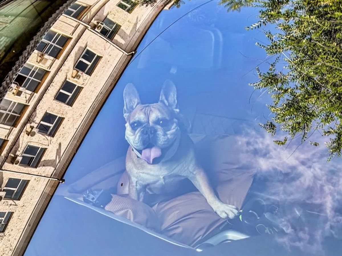 Фото: @momentolista Дніпро в очах його мешканців: топ красивих світлин міста з Instagram 11