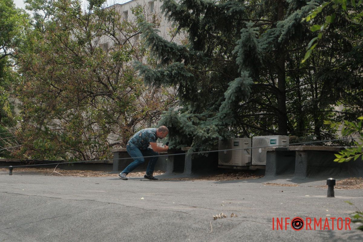 Хвилинка доброти: Інформатор допоміг возз’єднатися кошачій родині у Дніпрі 3