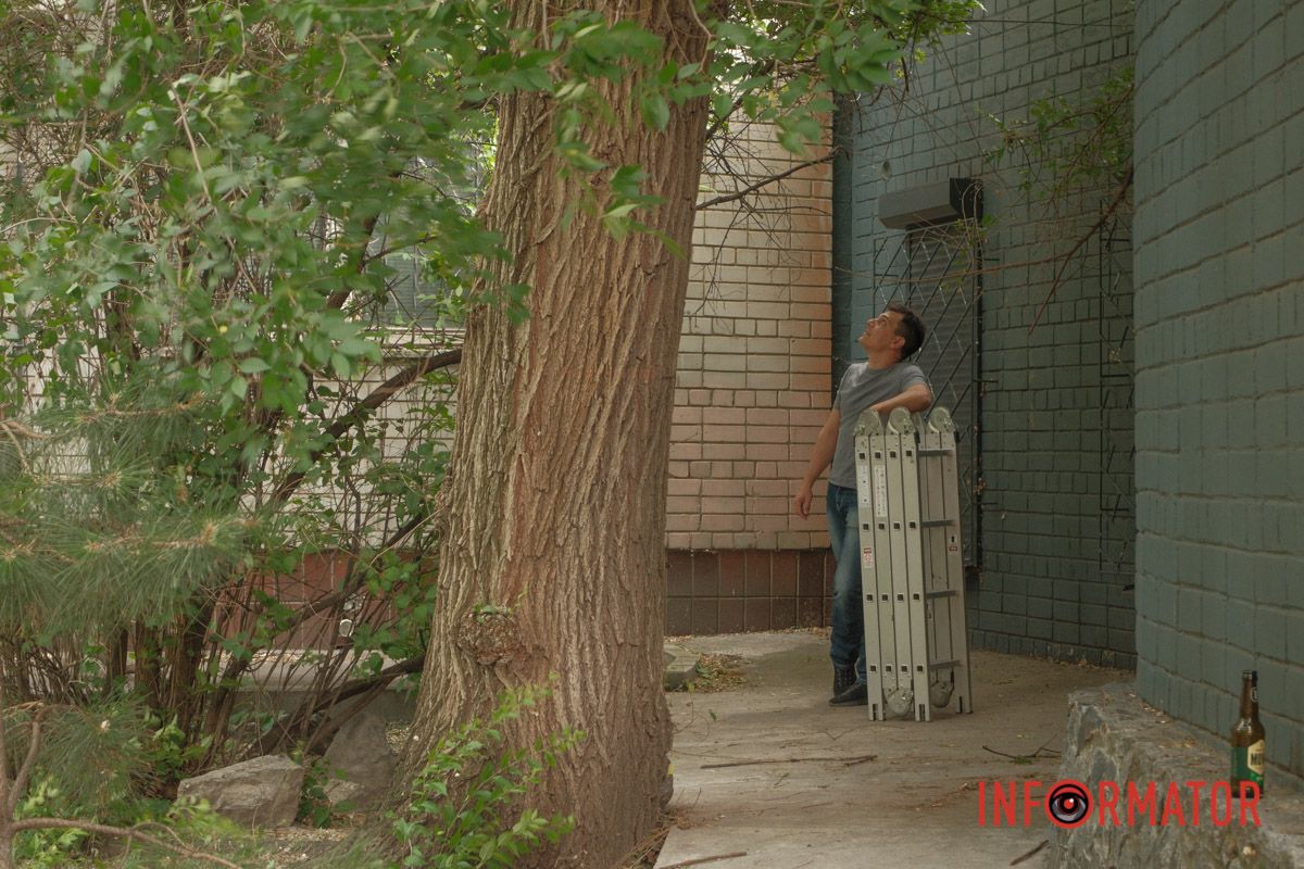 Хвилинка доброти: Інформатор допоміг возз’єднатися кошачій родині у Дніпрі 2