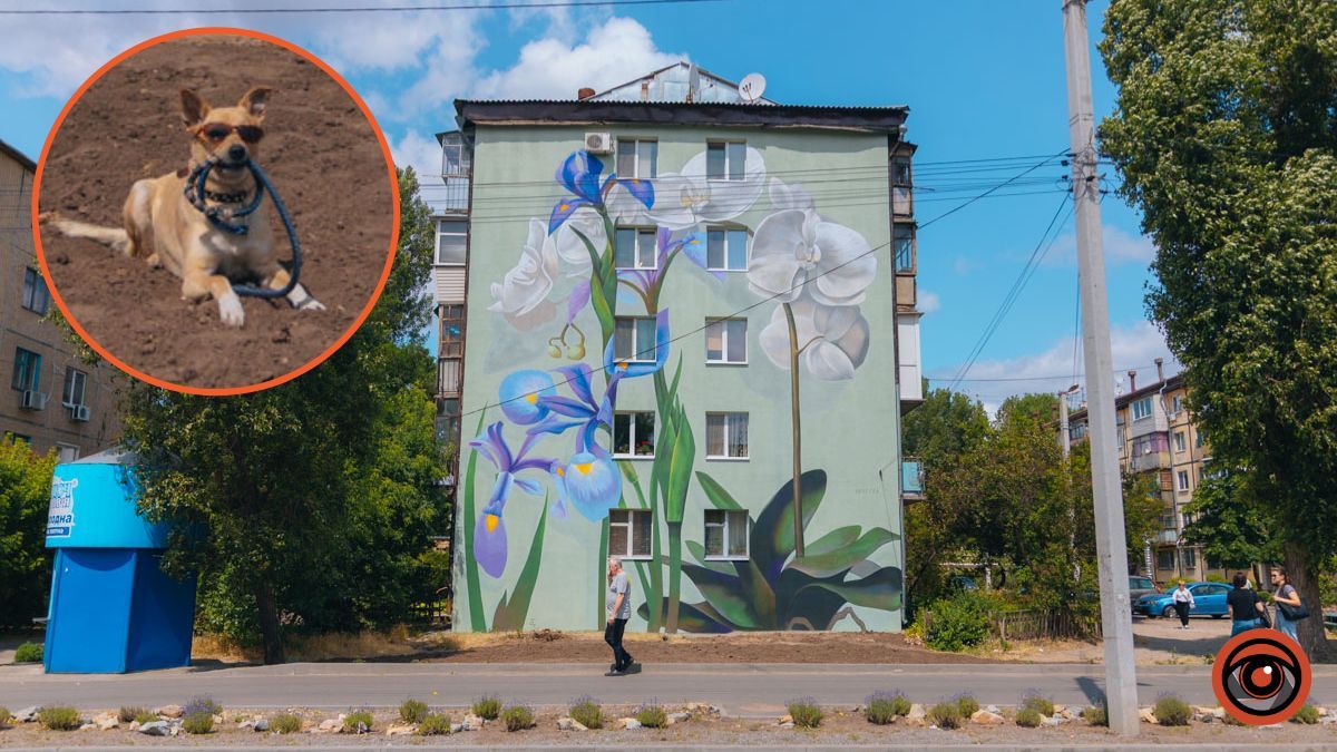 В Днепре на улице Квитки Цисык еще один дом украшает мурал