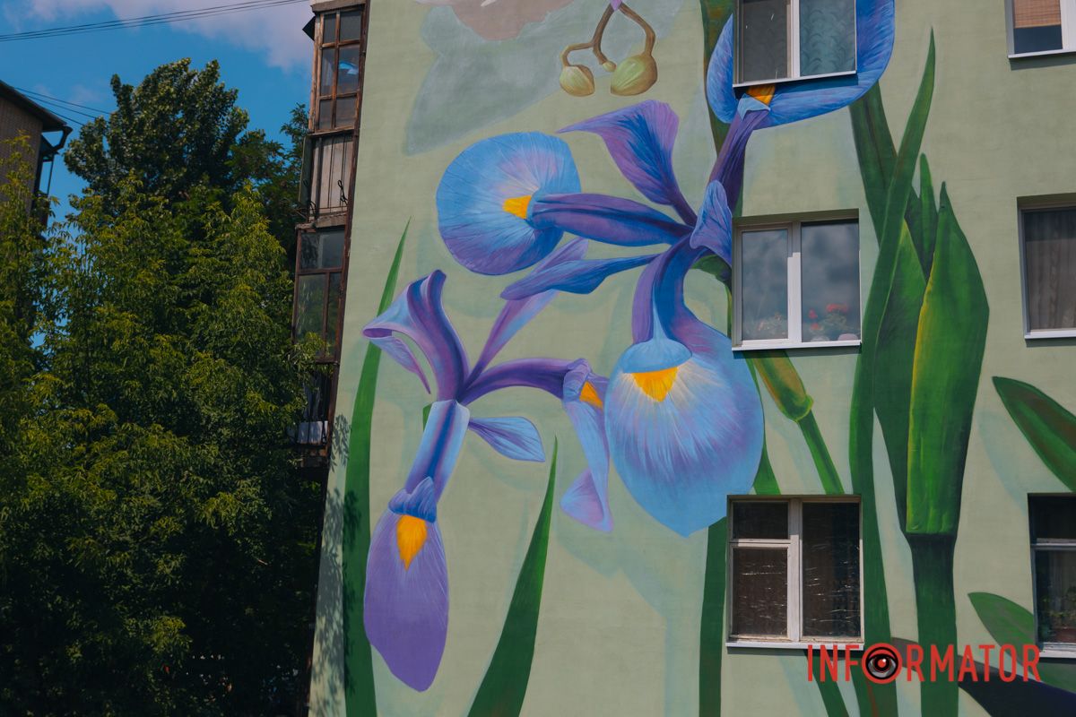 У Дніпрі на вулиці Квітки Цісик ще один будинок прикрашає мурал 14