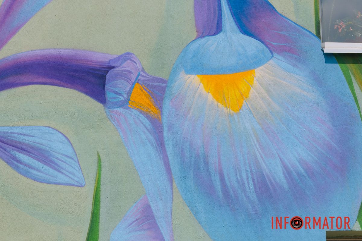 У Дніпрі на вулиці Квітки Цісик ще один будинок прикрашає мурал 10