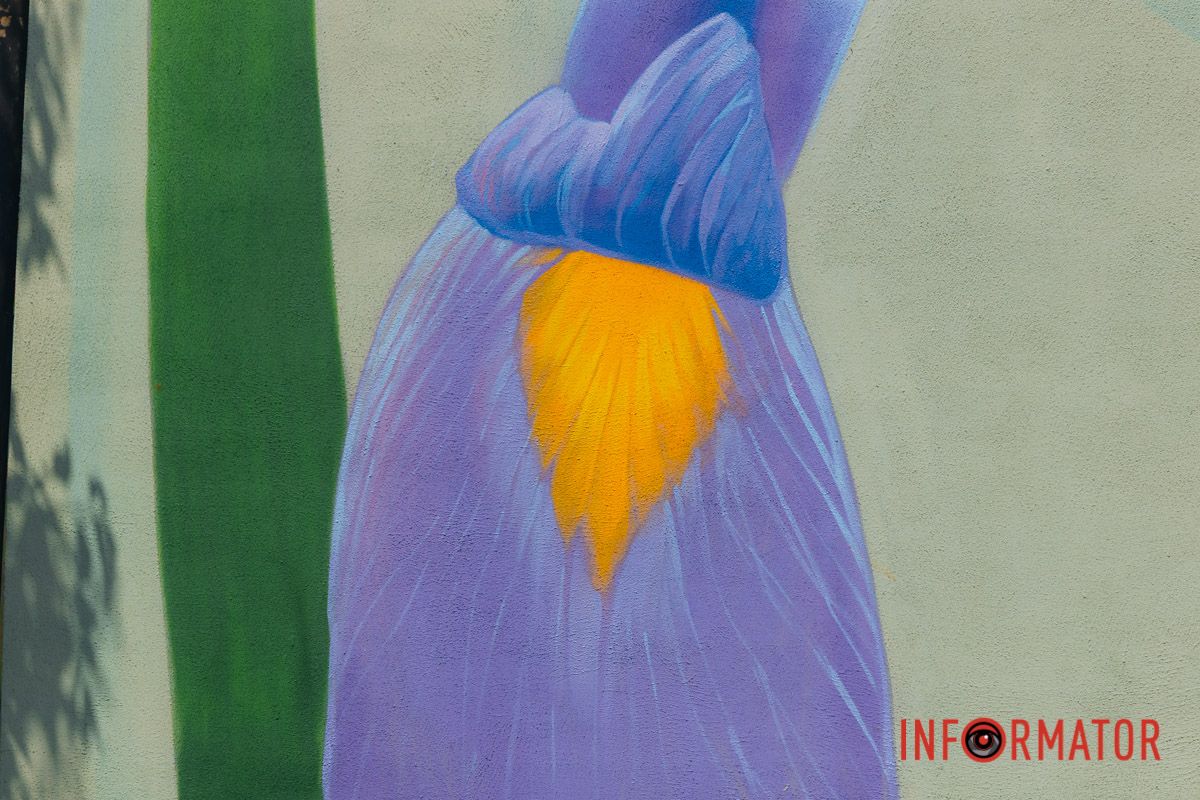 У Дніпрі на вулиці Квітки Цісик ще один будинок прикрашає мурал 8