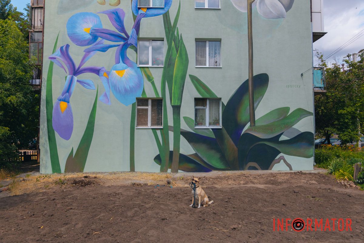 У Дніпрі на вулиці Квітки Цісик ще один будинок прикрашає мурал 6