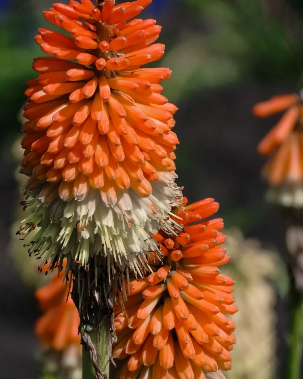 Якби у Дніпра був Instagram: топ красивих світлин міста 4