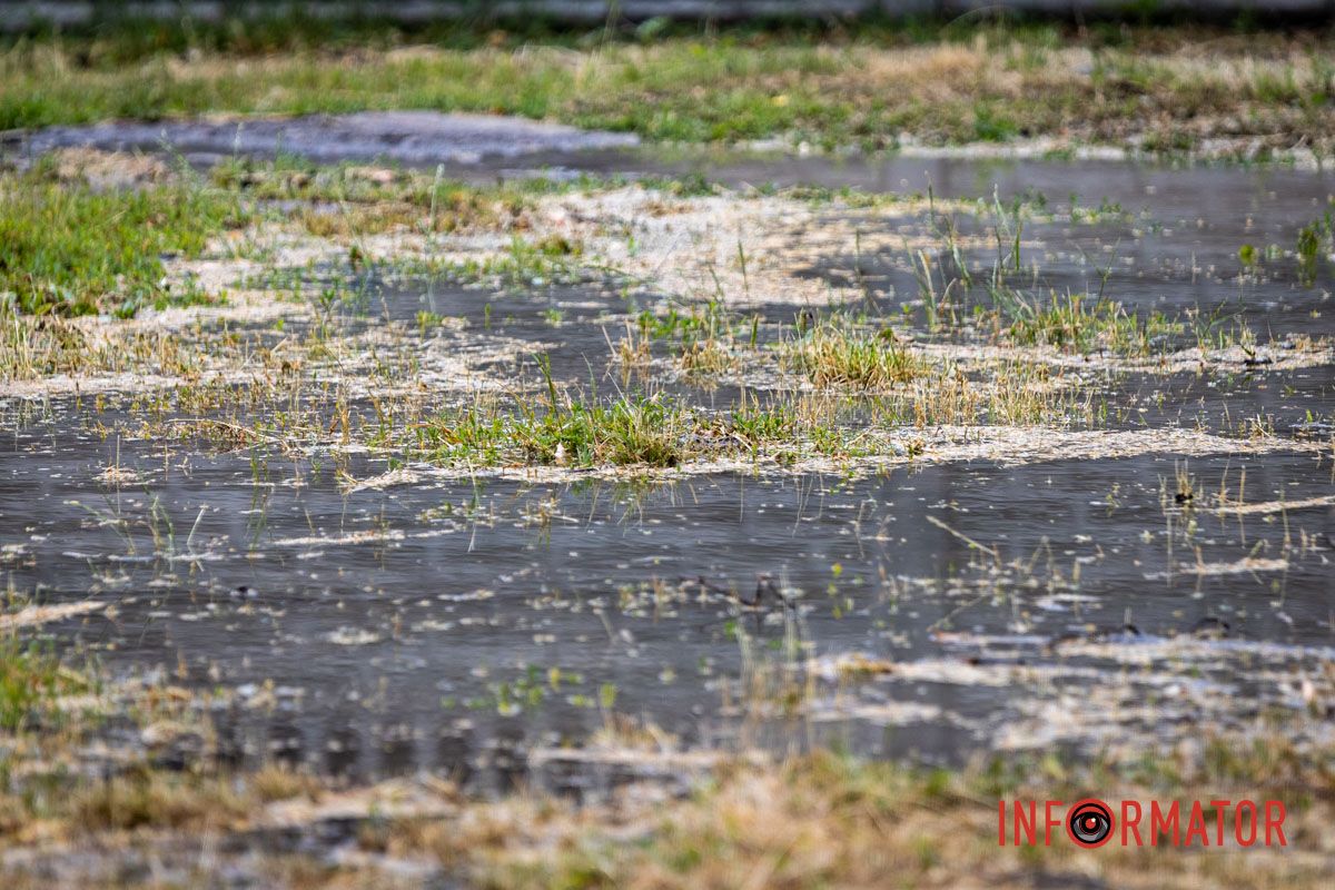 Школьное футбольное поле ушло под воду: на Конотопской в ​​Днепре прорвало водопровод 11
